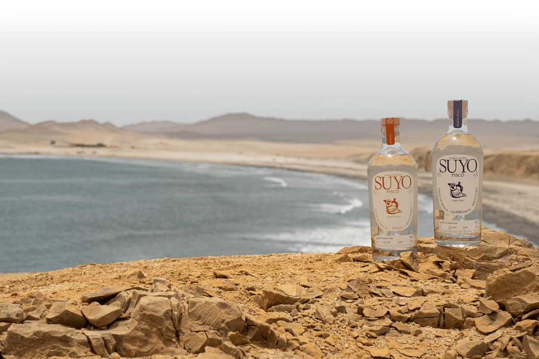 Pisco – eine Spirituose mit Geschichte und Herkunft
