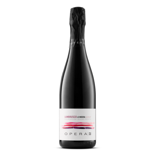 Lambrusco di Modena D.O.P. Brut bio secco (trocken)